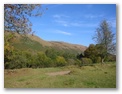 Hollywood Cottage - Holiday Cottages Wales - View up valley from back of house
