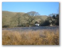 Hollywood Cottage - Holiday Cottages Wales - From across the fields