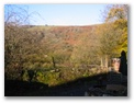 Hollywood Cottage - Holiday Cottages Wales - Early morning view of front of house